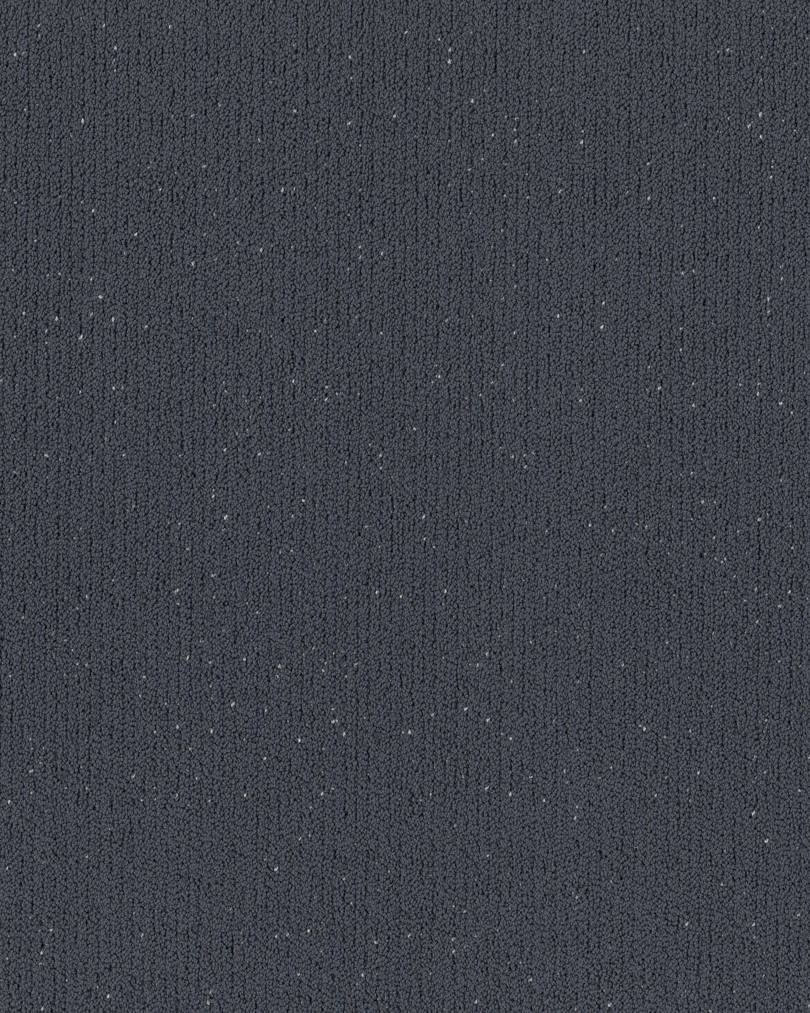 Shaw Pet Perfect Intricate Trace Refined Carpet Exchange