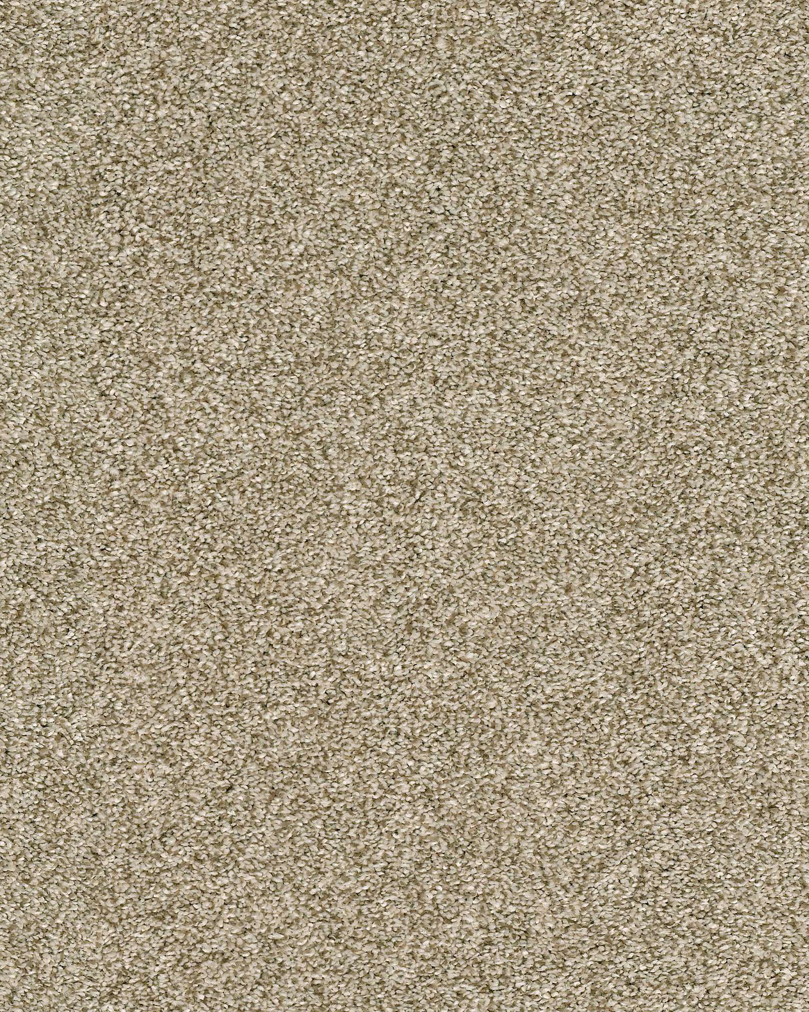 Shaw E9641 Just A Hint II Khaki Carpet Exchange