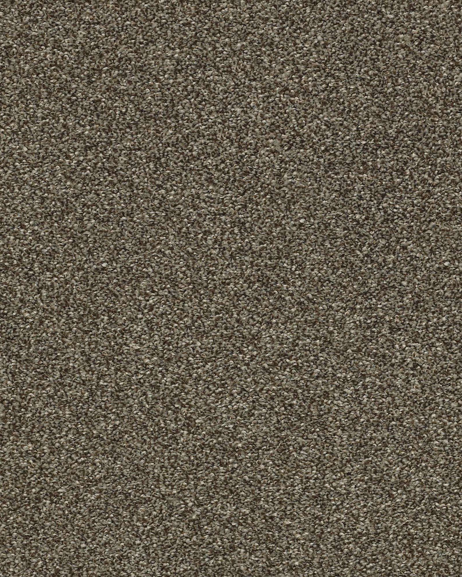 Shaw E9641 Just A Hint II Mink Carpet Exchange