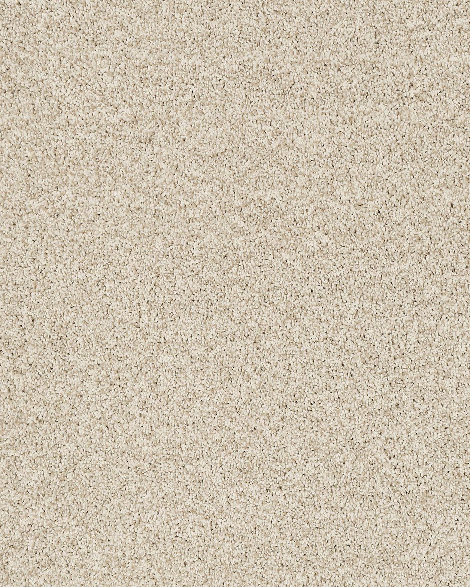 Karastan Artisan Elements Haven Carpet Exchange