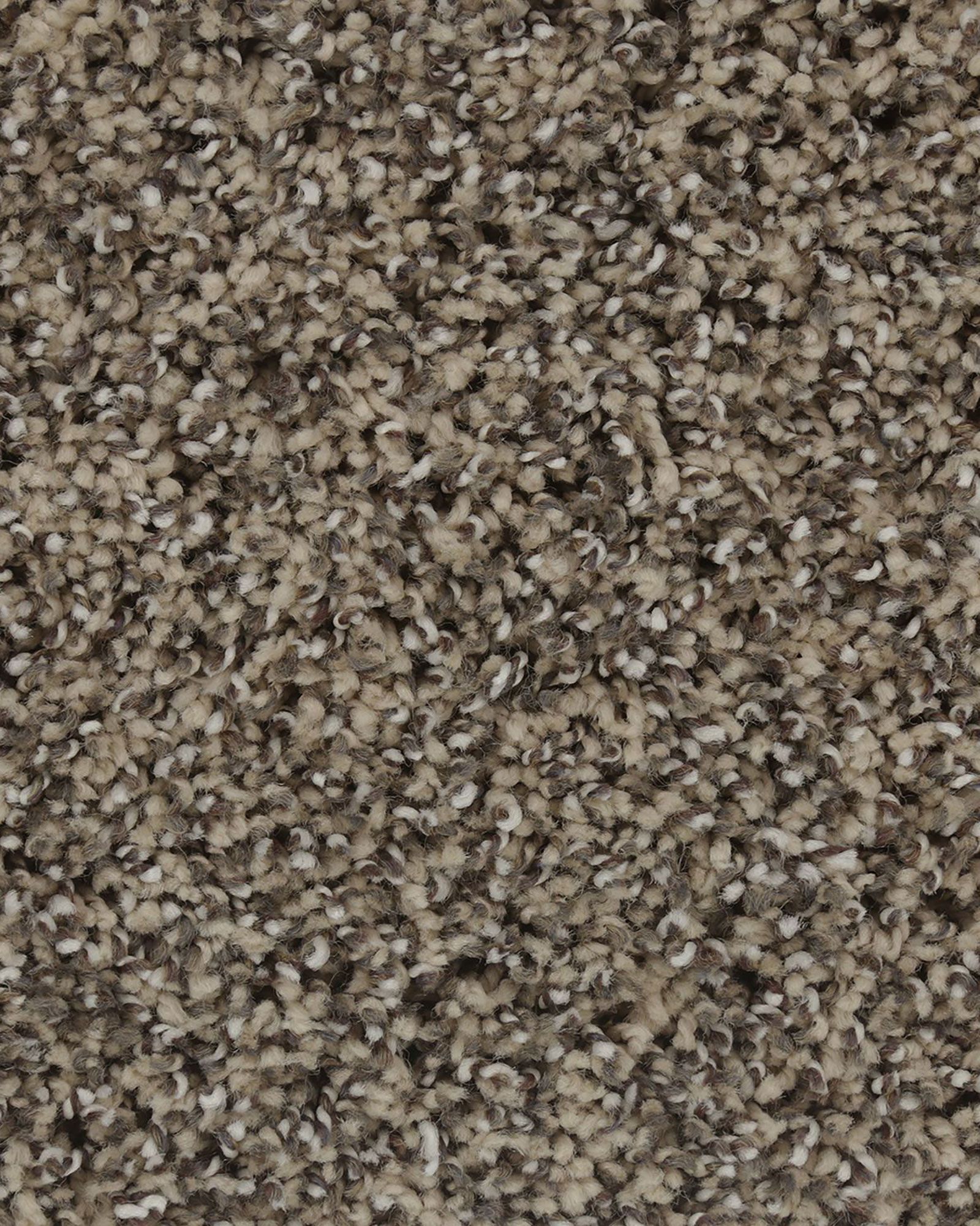 Mohawk Lavish Character Artisan Hue | Carpet Exchange