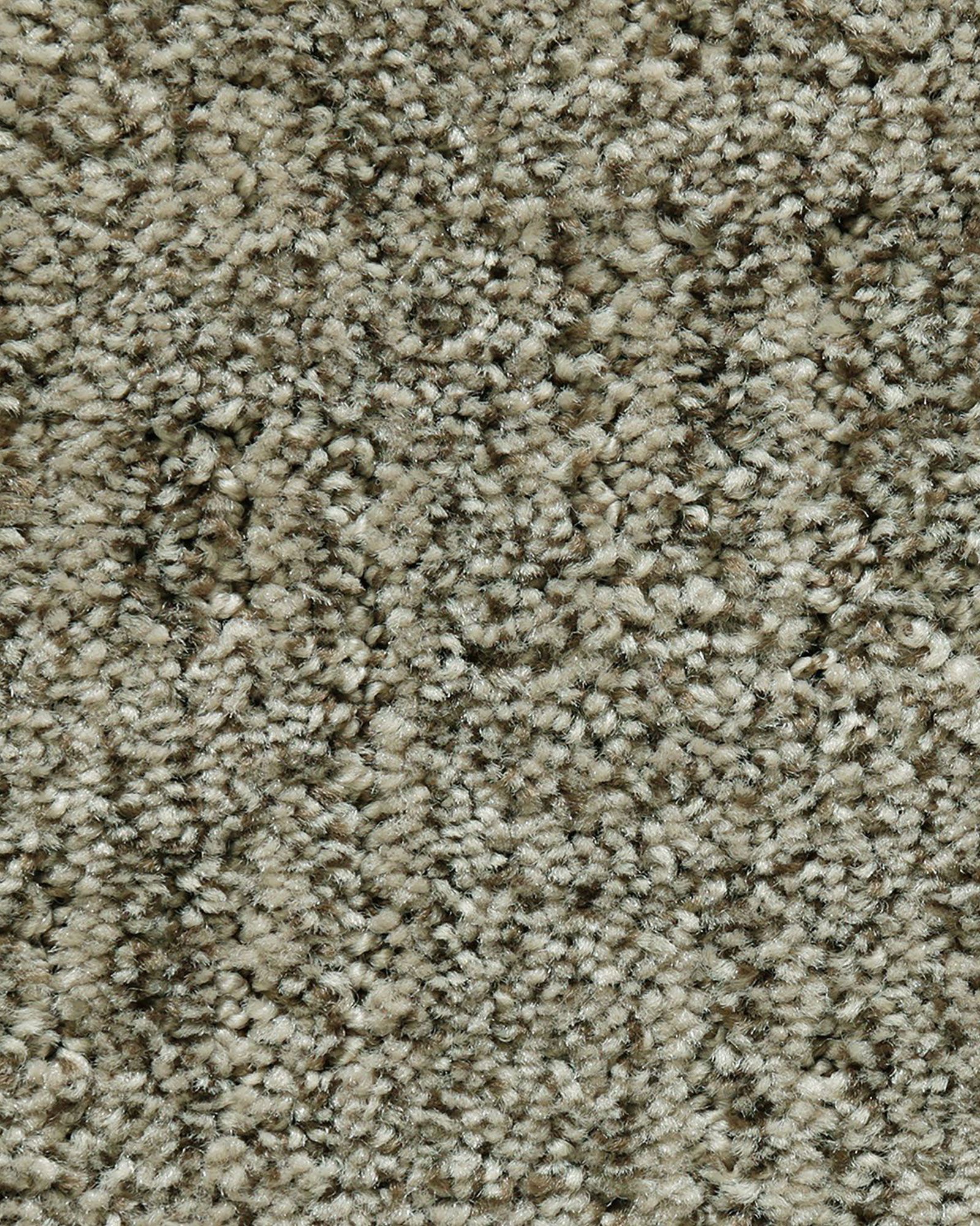 Mohawk Lavish Linen Rustic Beam Carpet Exchange