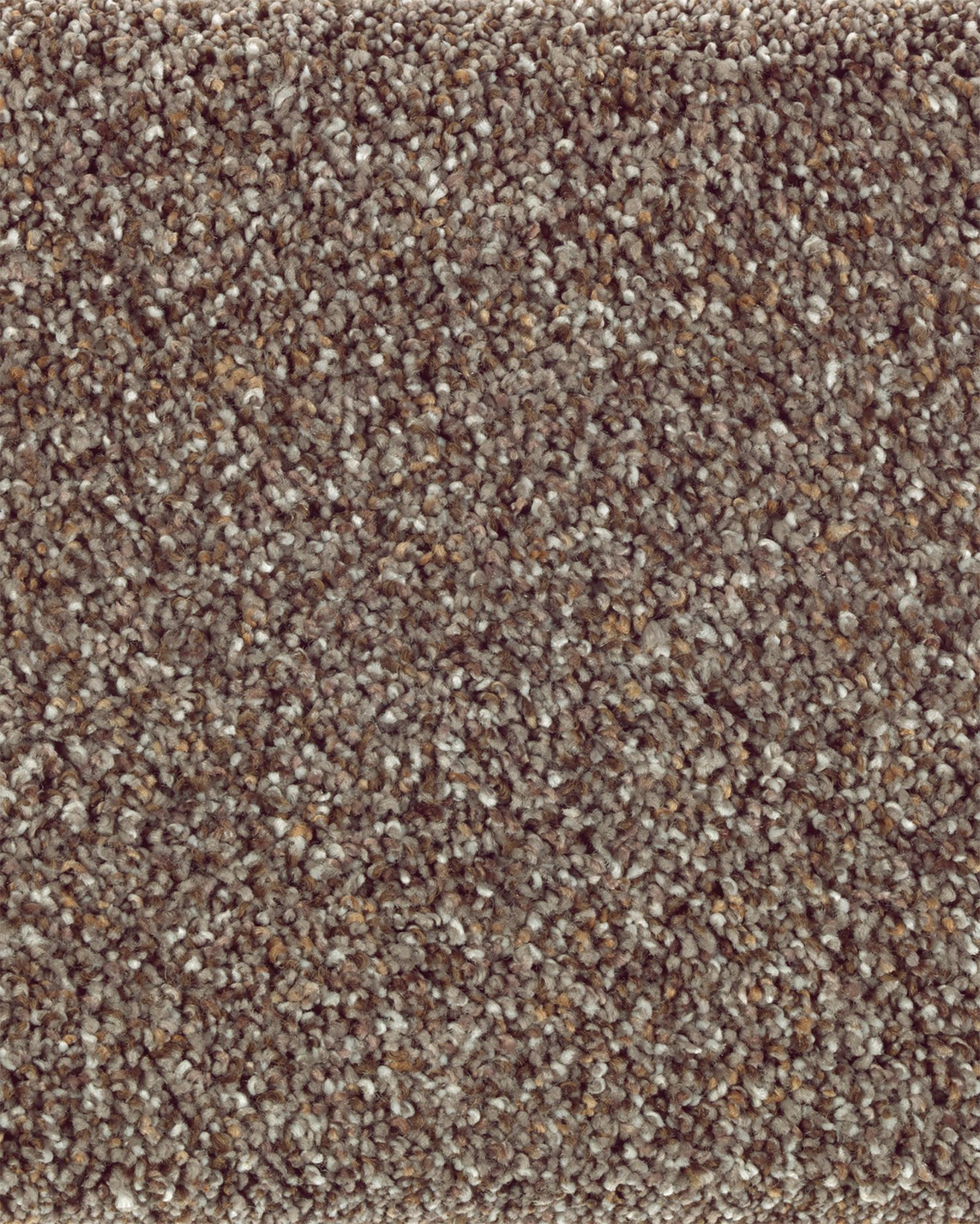 Mohawk Natural Beautiful II Distant Thunder | Carpet Exchange