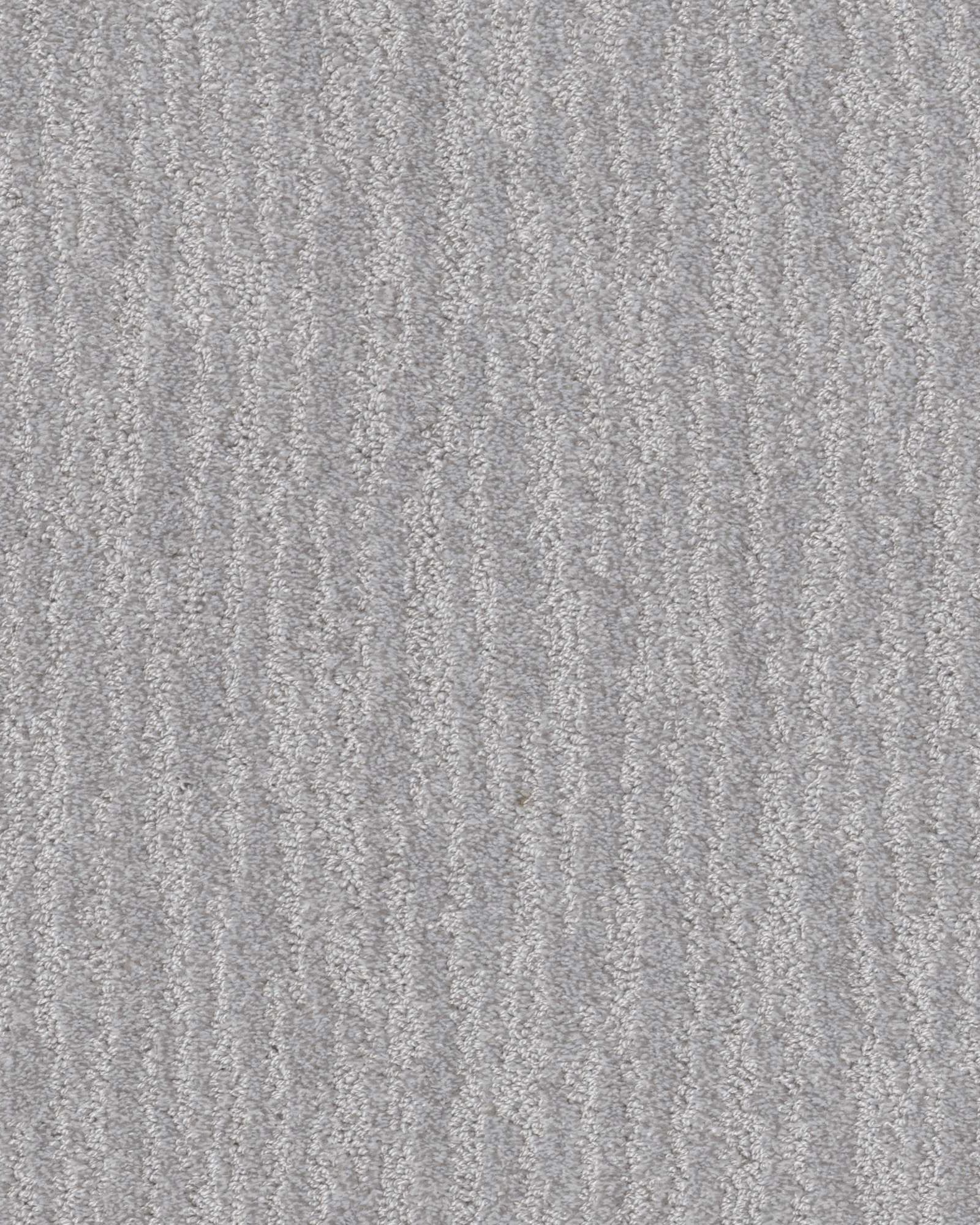 Shaw 5E278 Nature Within Silver Lining Carpet Exchange