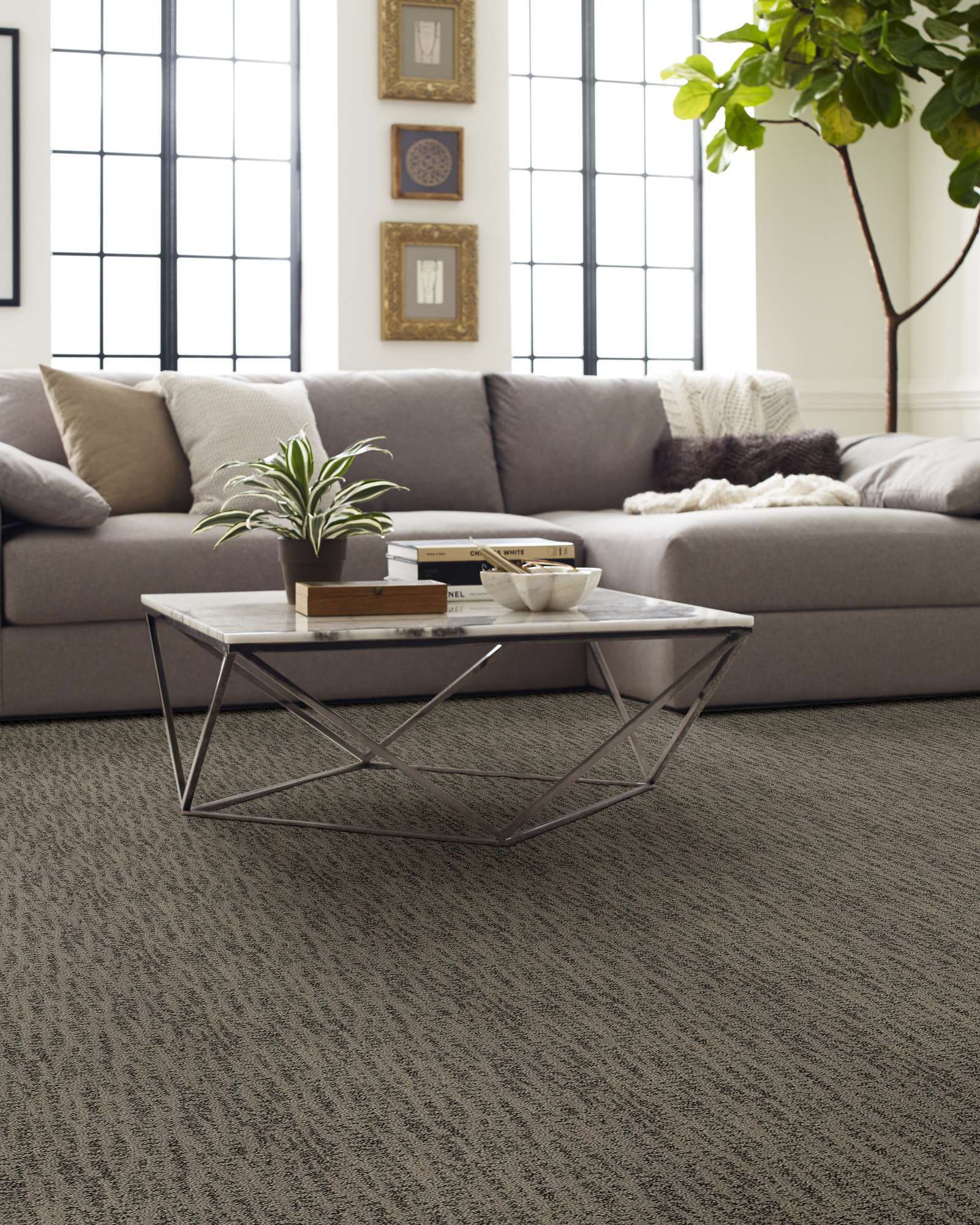 Shaw E9648 Obvious Choice Dreamy Taupe | Carpet Exchange