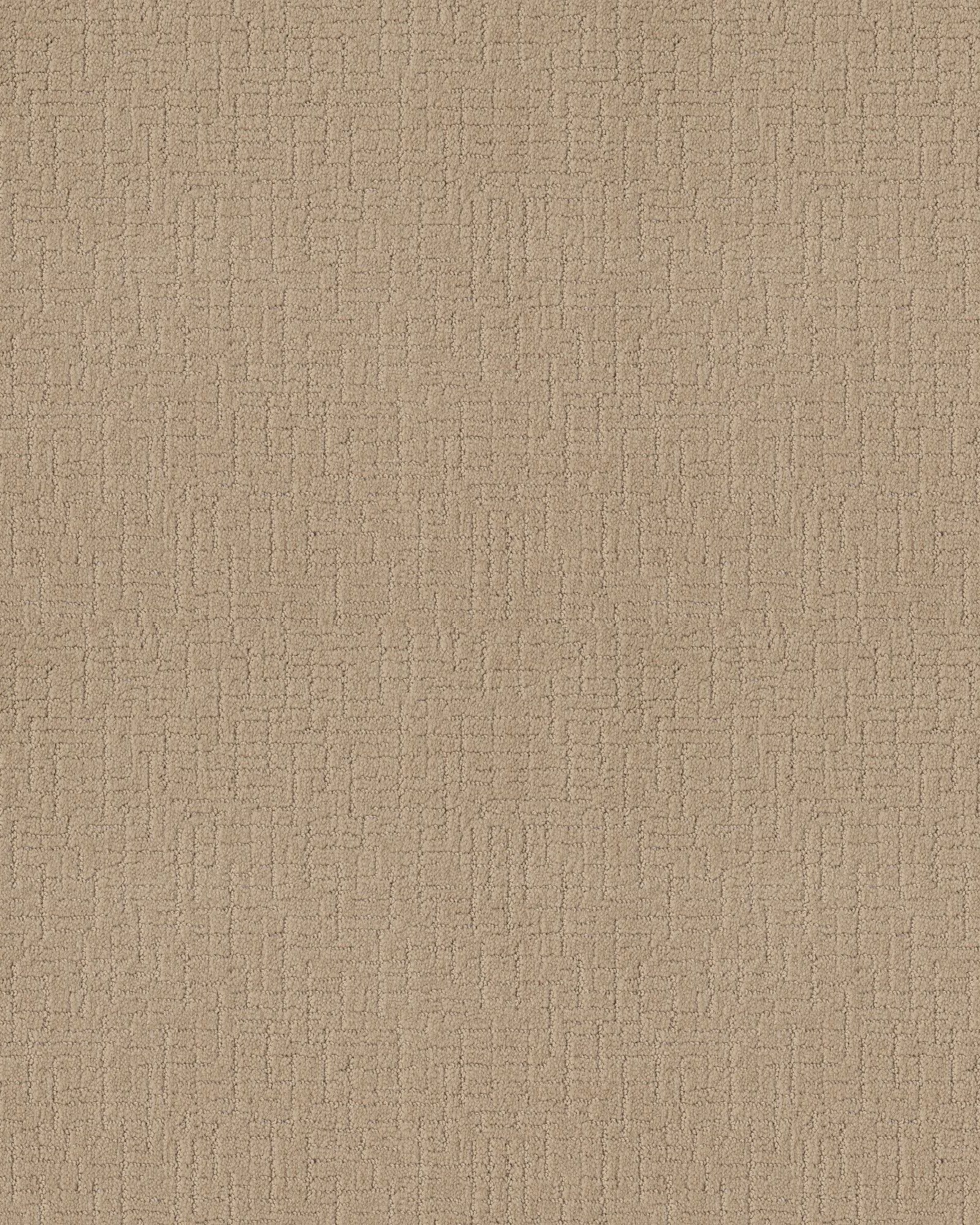 Anderson Tuftex One More Hour Pale Beach Carpet Exchange