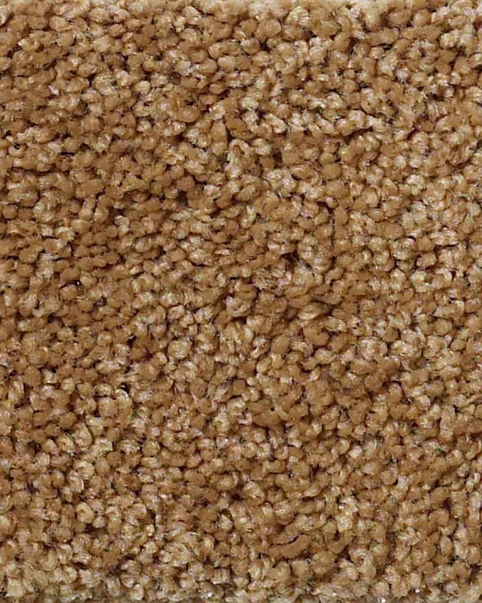 Shaw E9301 Origins II Leather Bound Carpet Exchange