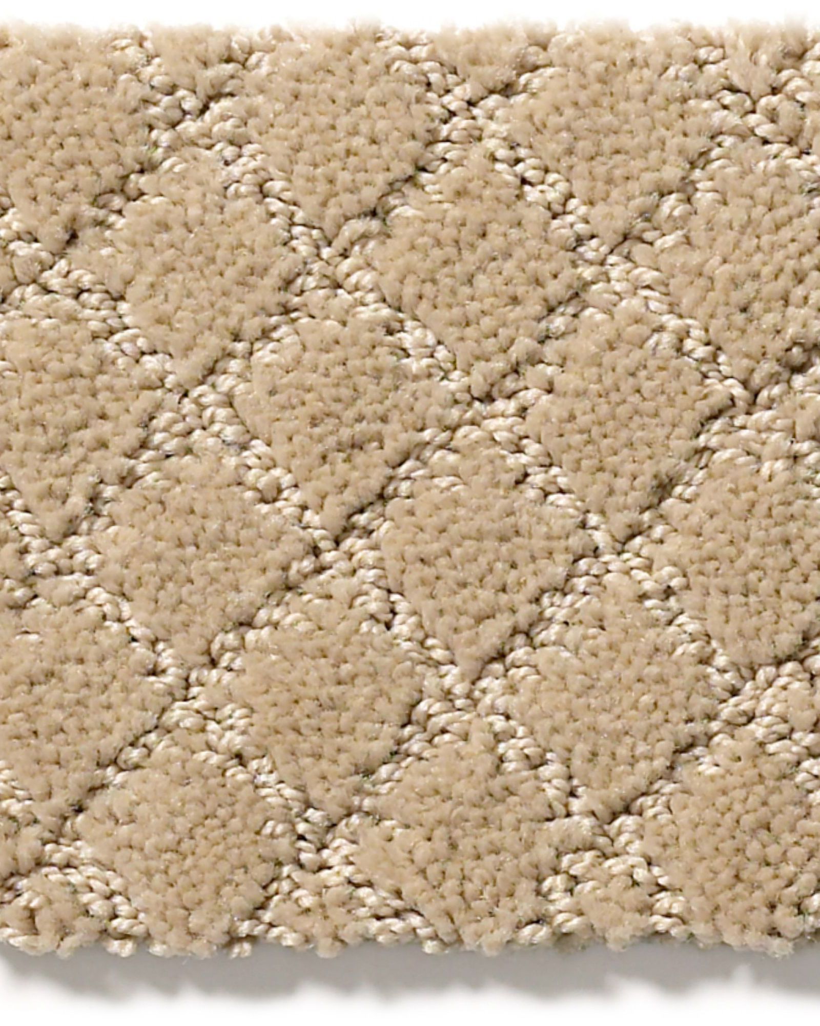 Anderson Tuftex Pawnache Monterey Carpet Exchange