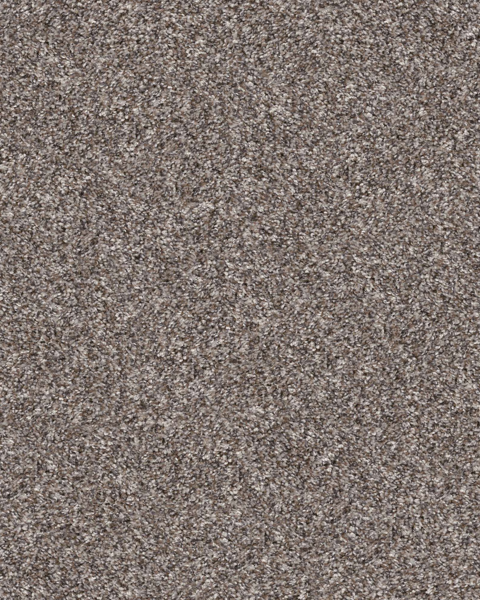 Shaw 5E686 Refined Chic Alaskan Air Carpet Exchange