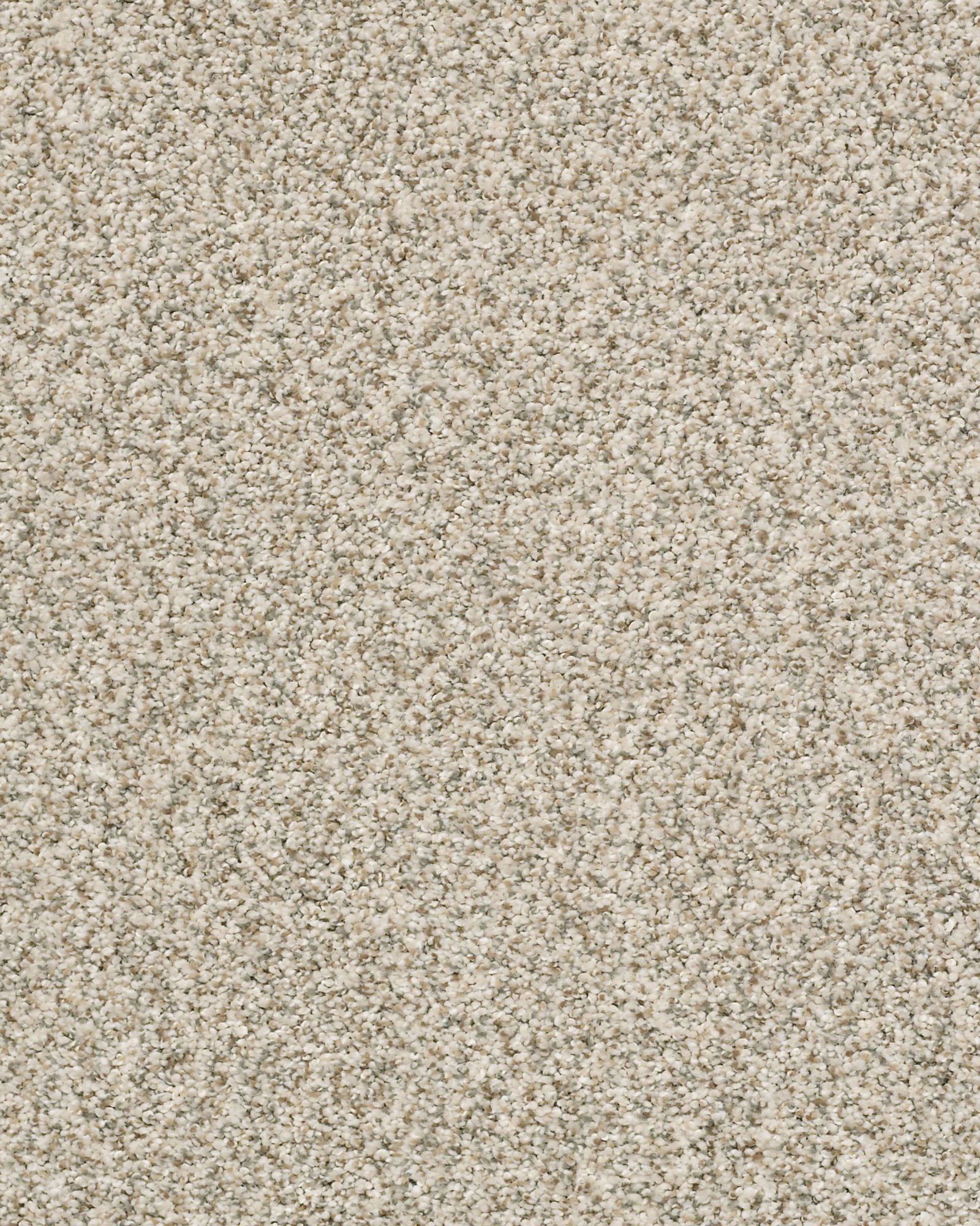 Shaw Ridgeway Walk Cocoa Butter Carpet Exchange