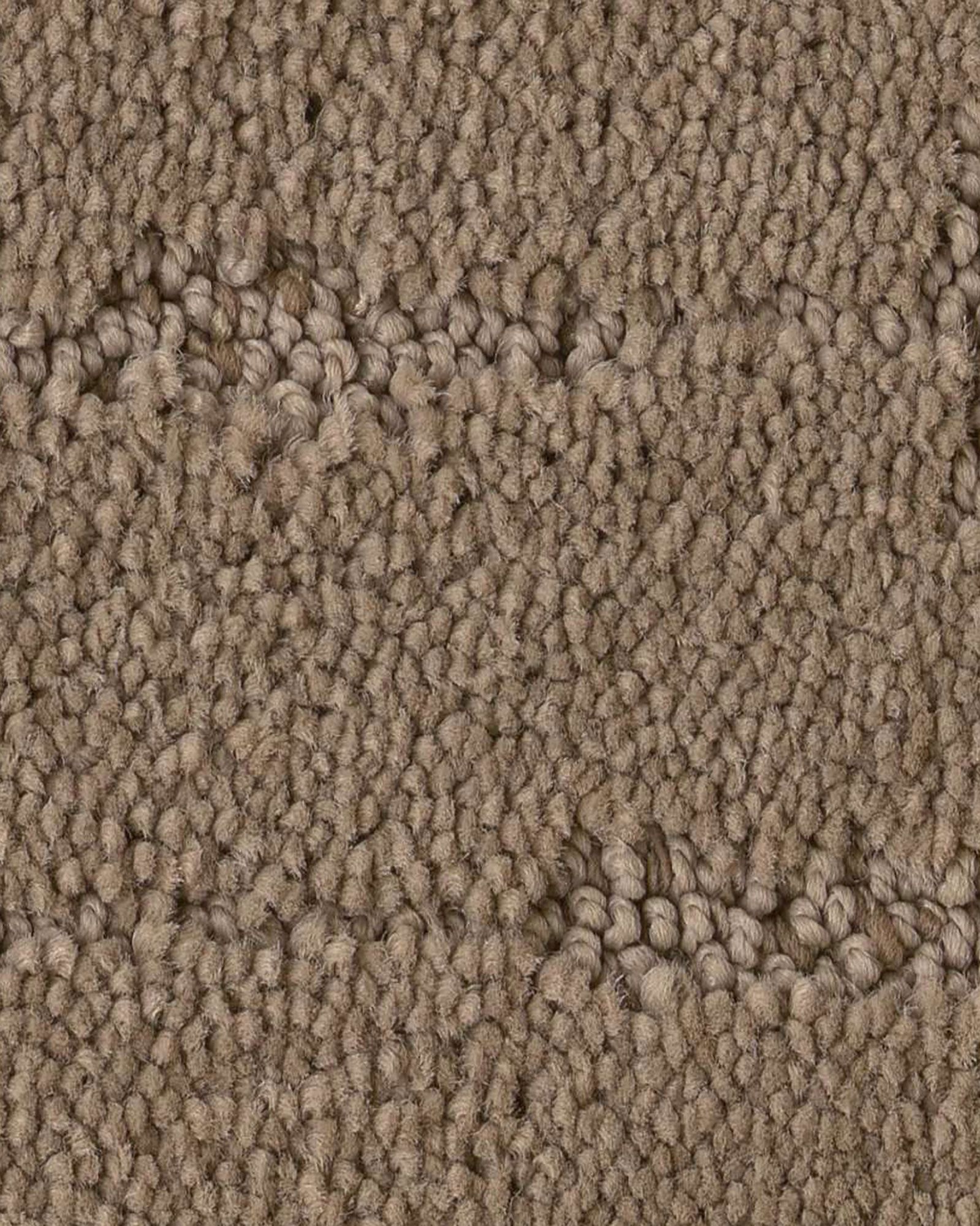 Shaw CCS72 Rustique Vibe Carpet Exchange