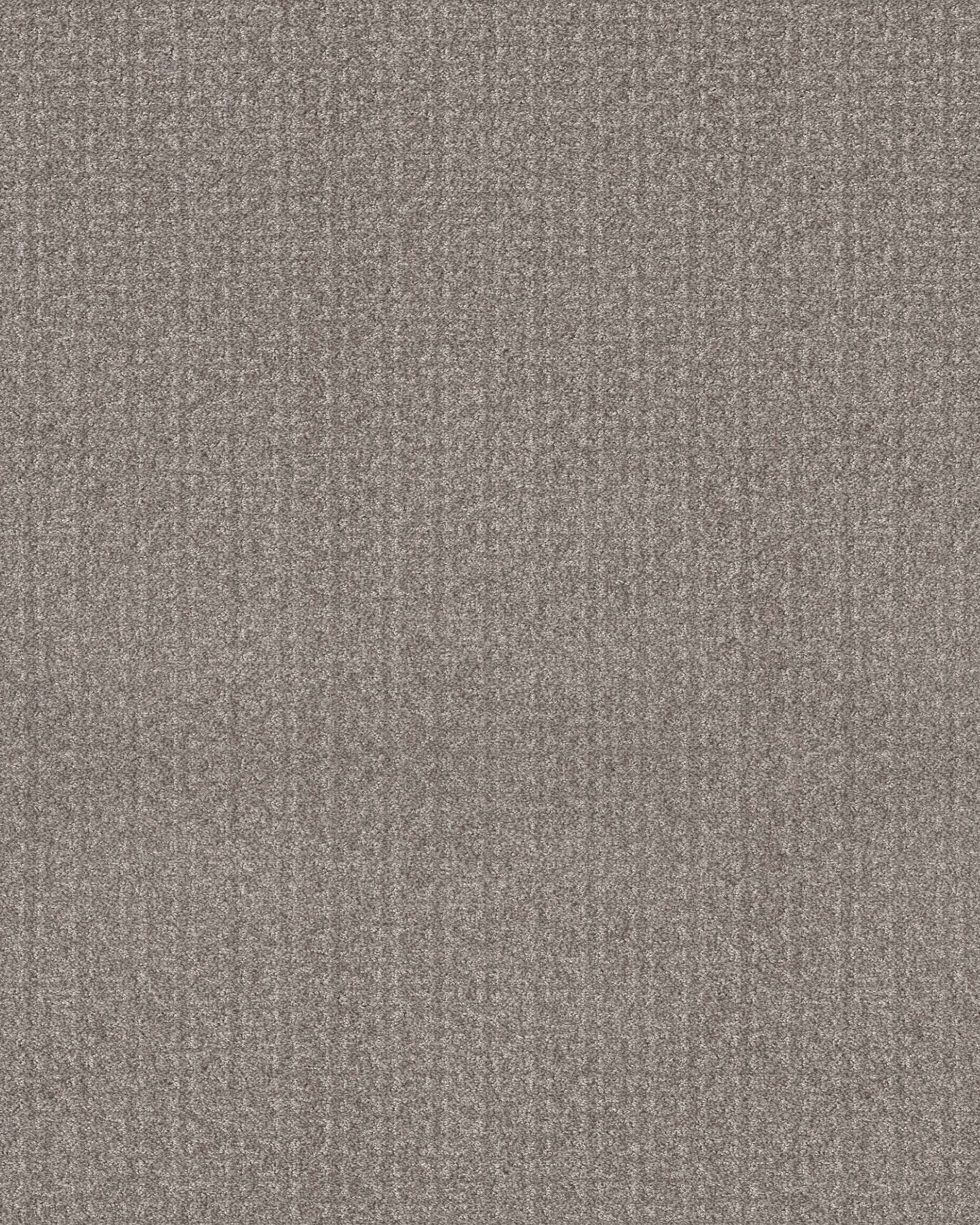 Shaw 5E279 Secret Passage Dark Maple | Carpet Exchange