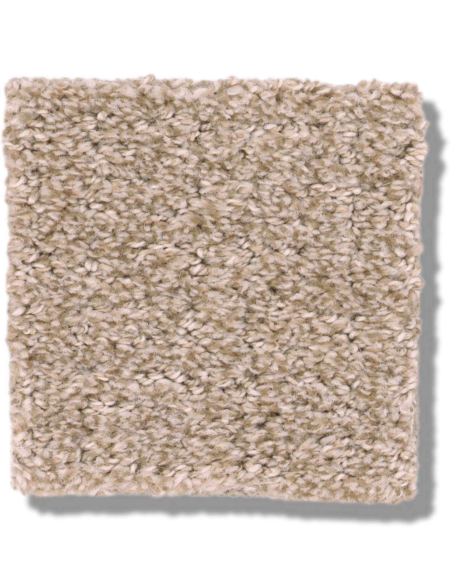 Shaw 5E279 Secret Passage Kidskin Carpet Exchange