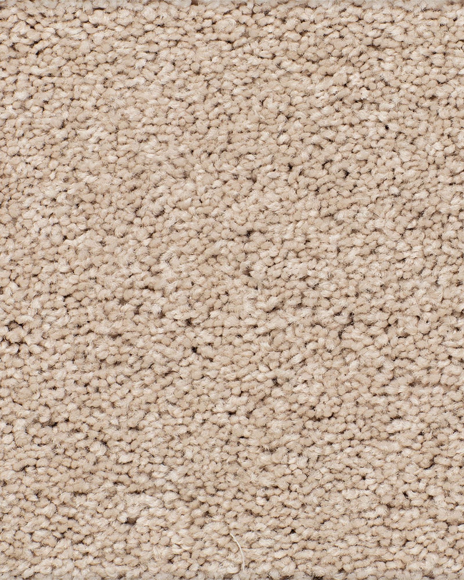 Karastan Sheer Essence Frosted Honey Carpet Exchange