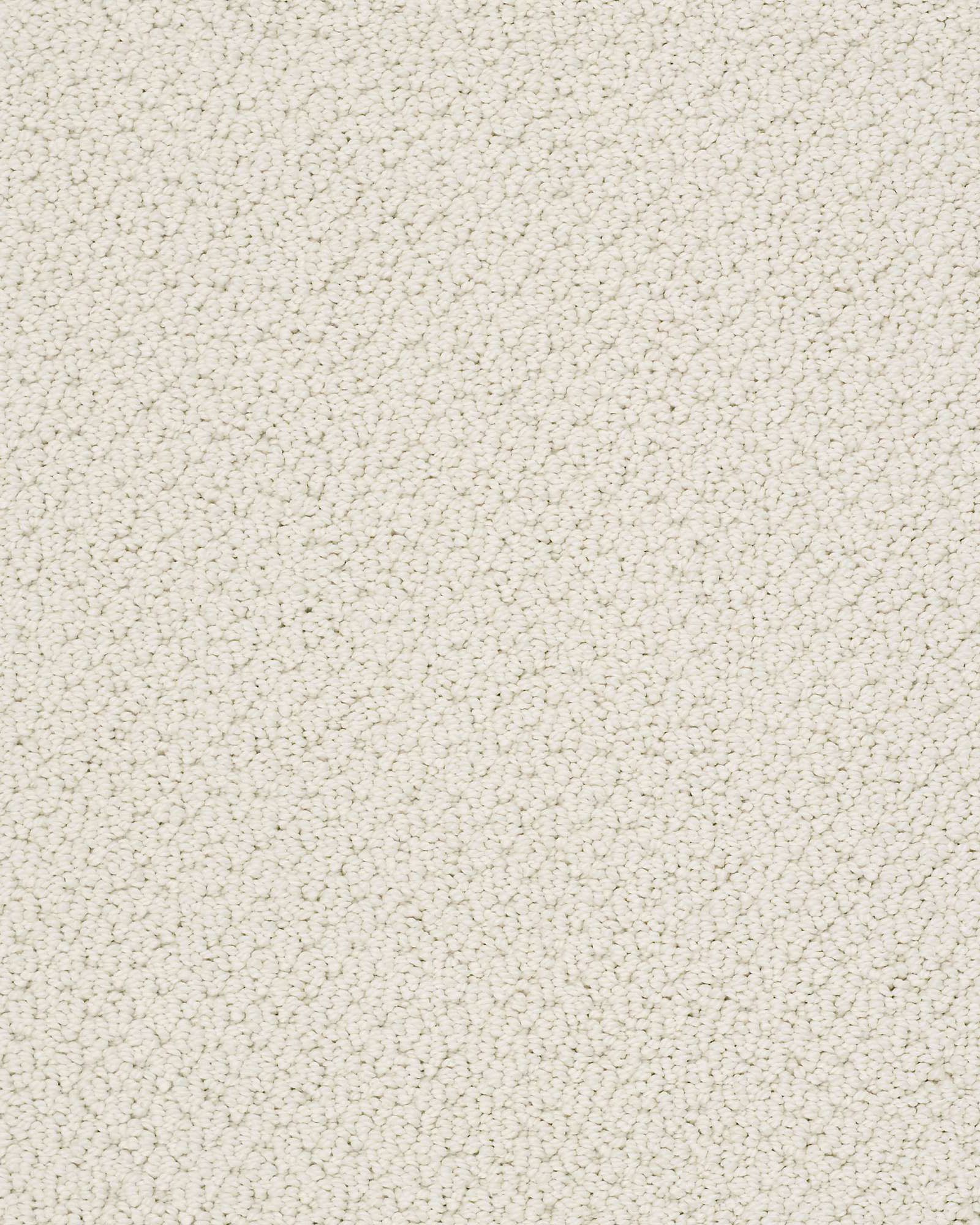 Shaw E9725 Smart Thinking Carpet Exchange