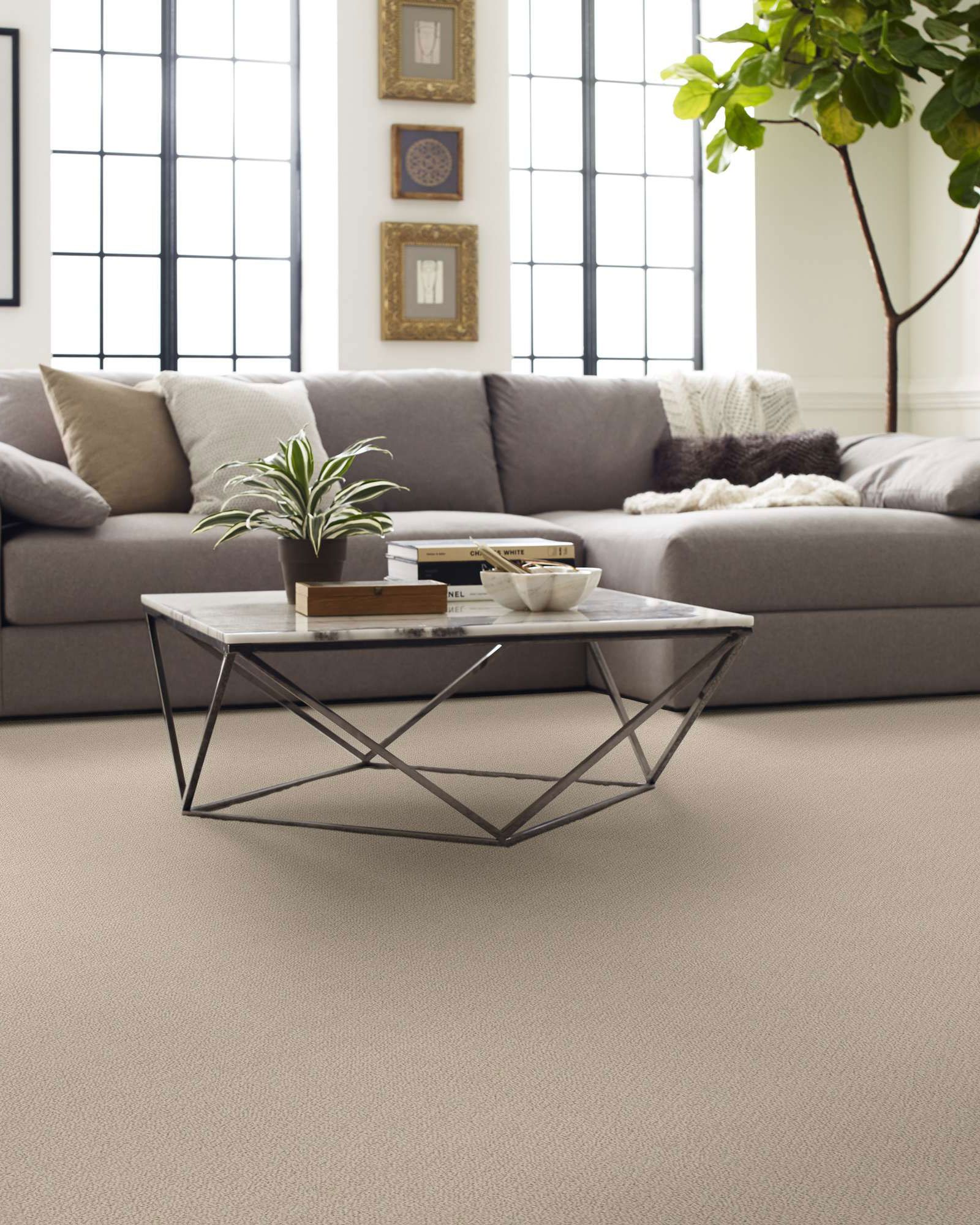 Shaw E9725 Smart Thinking Shoreline Carpet Exchange