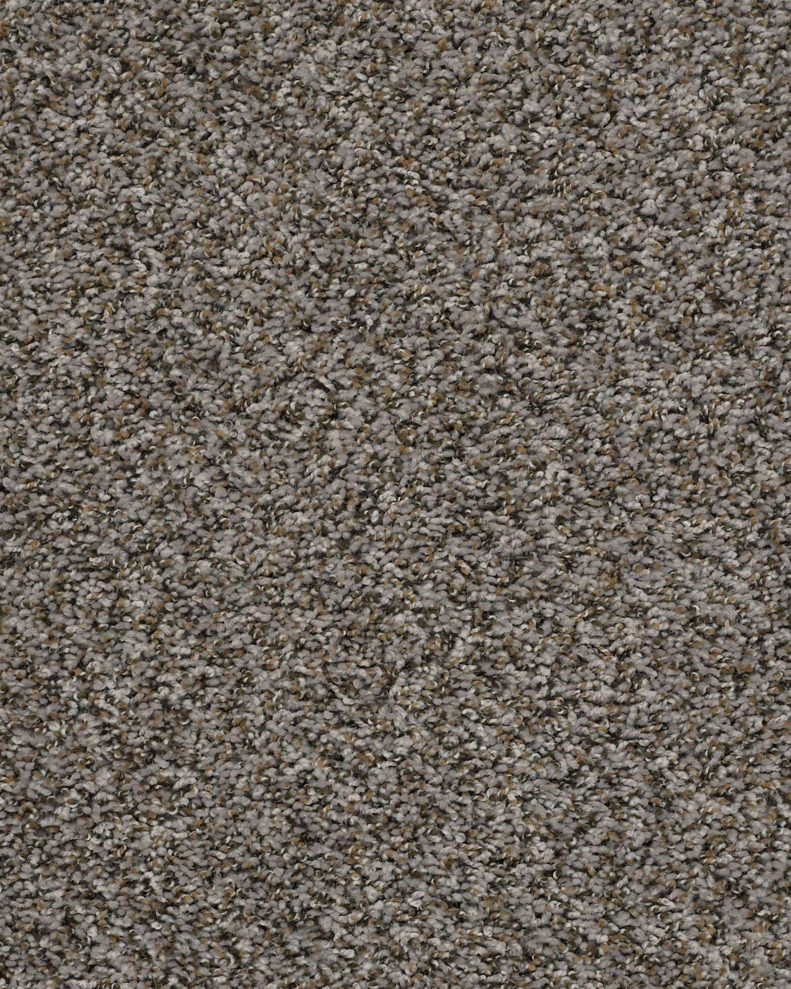 Shaw 5E242 Soft Touch Berber Boulder | Carpet Exchange