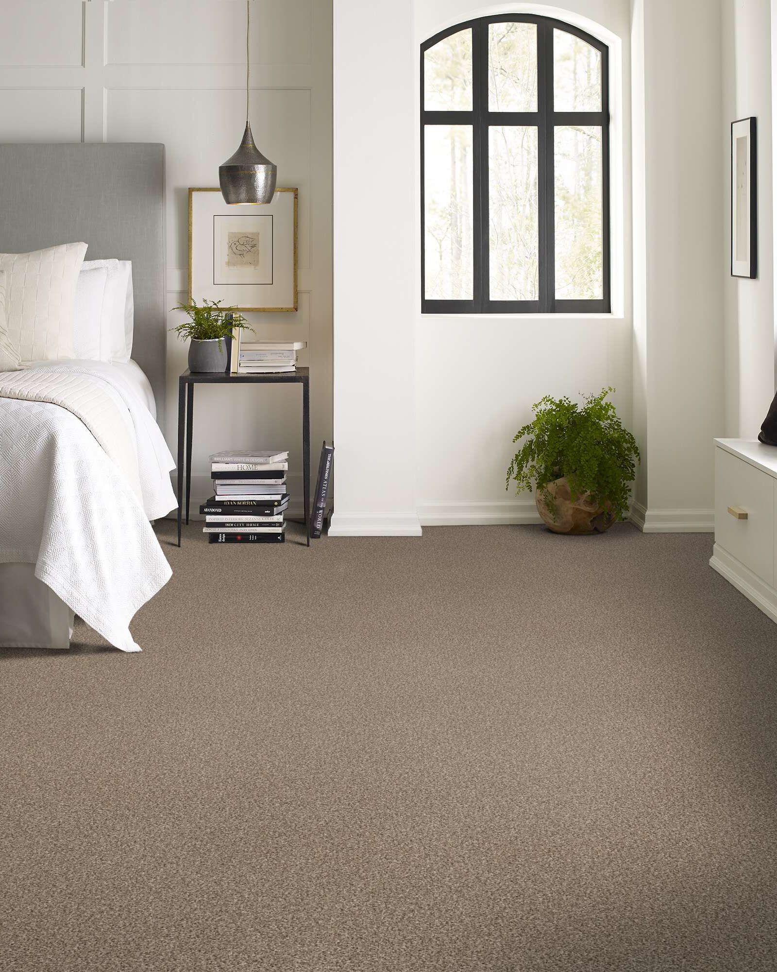 Shaw Confidence III - Pet Perfect | Carpet Exchange