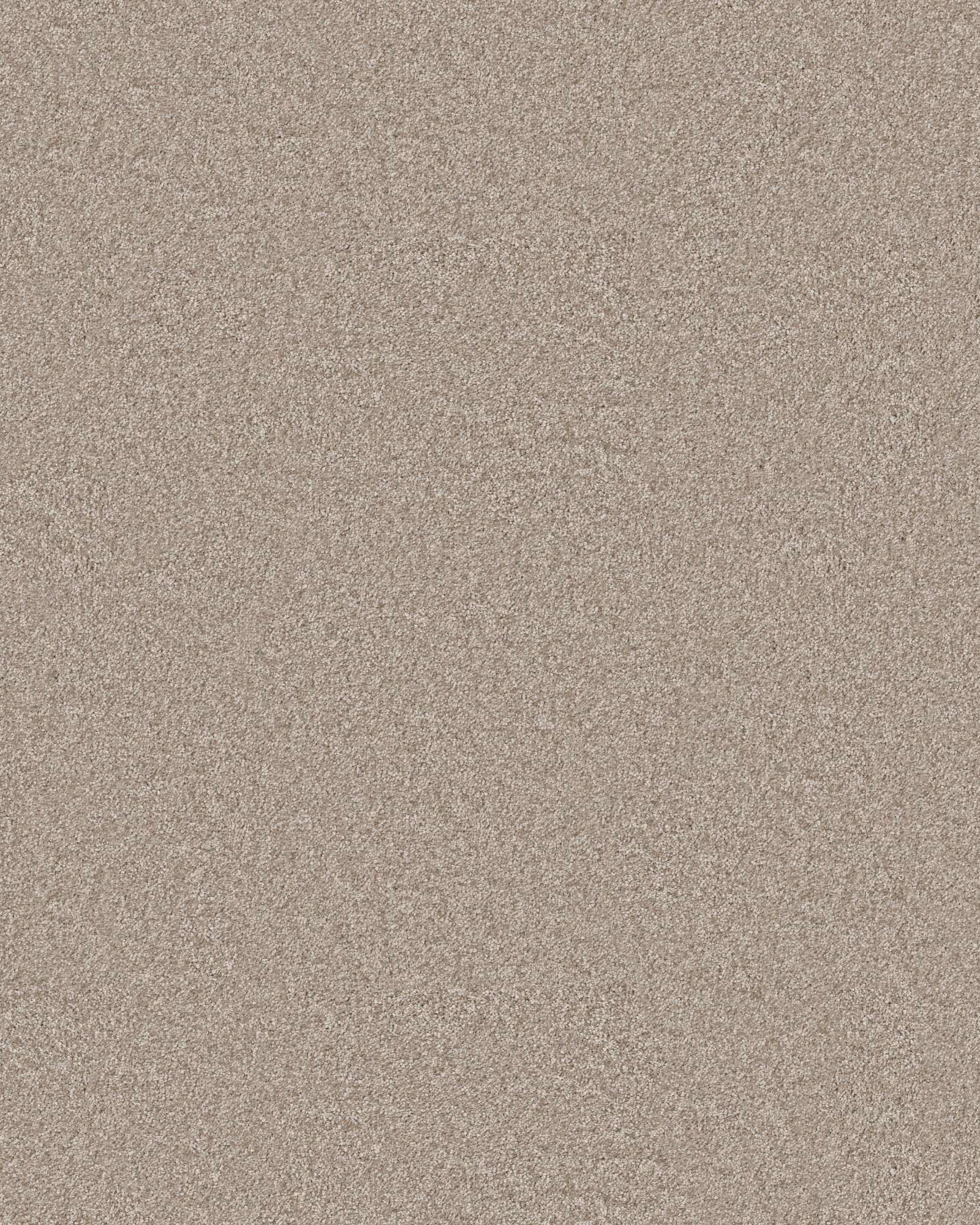 Shaw Positively Radiant I Subtle Clay | Carpet Exchange