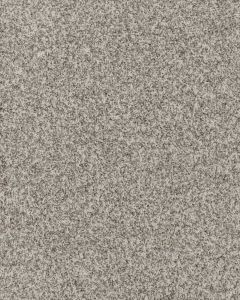 Warm Comfort Textured Smartstrand 40oz Carpet