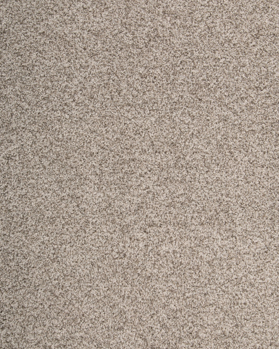 Karastan Cordial Welcome Kashmere Nylon - Carpet