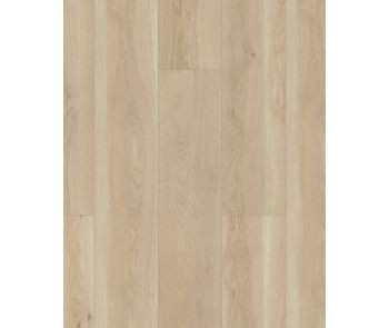 Paragon HD+ Natural Bevel Cambridge Luxury Vinyl