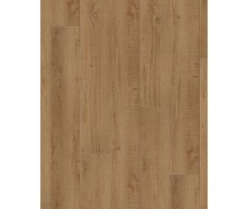 COREtec Plus XL Enhanced Waddington Oak Luxury Vinyl