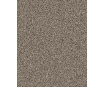 Artistic Fusion II Pet Friendly Carpet