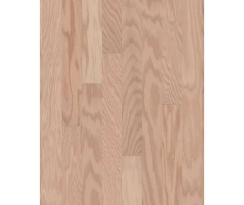 Albright Oak 3.25" Biscuit Lg