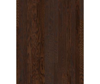 Albright Oak 3.25" Coffee Bean