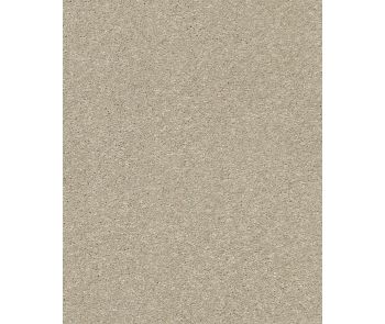 Basic Rules 58oz Textured Pet Friendly Carpet