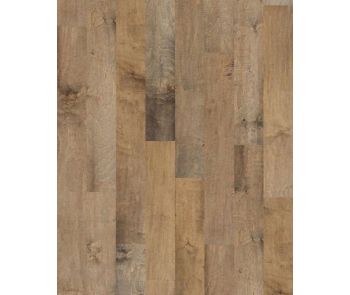 Bernina Maple Bianco 5" Hardwood