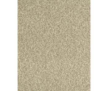 Cherished Tradition Bare Necessities Kashmere Carpet