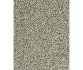 Cherished Tradition Raven Kashmere Carpet