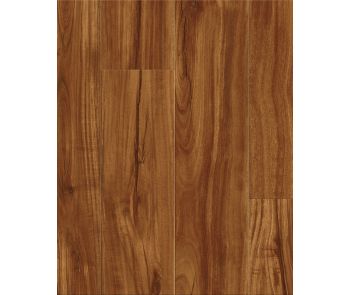 Cali Windansea High Tide Classic Acacia Vinyl