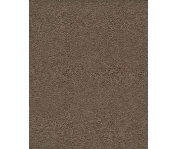Classical Approach SmartStrand 70oz Carpet
