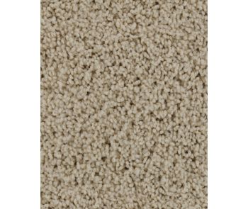 Confident Beauty Textured SmartStrand Carpet