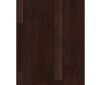 Coral Springs Conway 5" Maple Hardwood