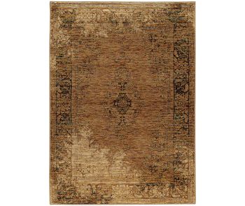 Andorra 6845d Gold/Brown Area Rug