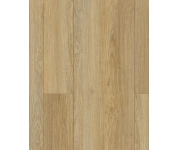 Discovery Ridge SolidTech Essentials Coffee House Tan