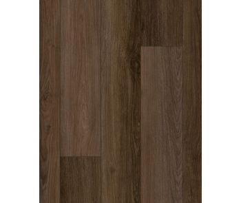 Discovery Ridge SolidTech Essentials Cup O Java Vinyl