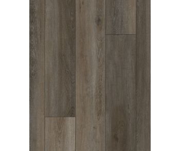 Discovery Ridge SolidTech Essentials Smoked Oyster Vinyl