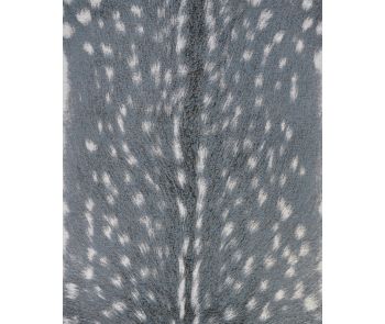 Dolce Hyena Denim-Silver Area Rug