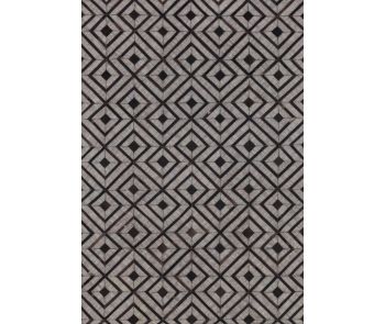 Dorado DB-02 Beige/Expresso Area Rug
