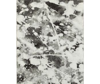 Evolution 8035b Charcoal/White Area Rug