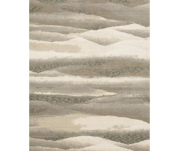 Evolution 982c Beige/Ivory Area Rug