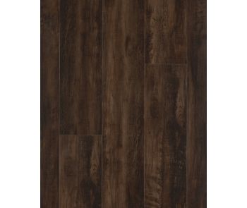 Explorers Cove SolidTech Select Cafe Doppio Luxury Vinyl