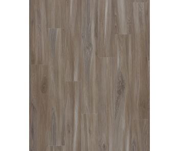 Explorers Cove SolidTech Select Dolphin Luxury Vinyl