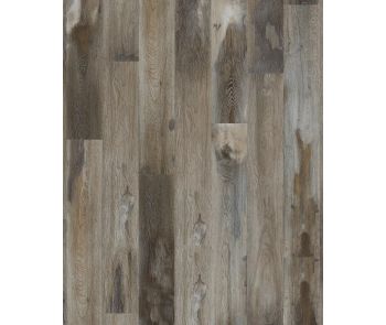 Explorers Cove SolidTech Select Raccoon Luxury Vinyl