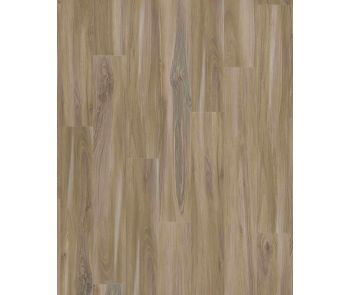 Explorers Cove SolidTech Select Sandy Valley Luxury Vinyl